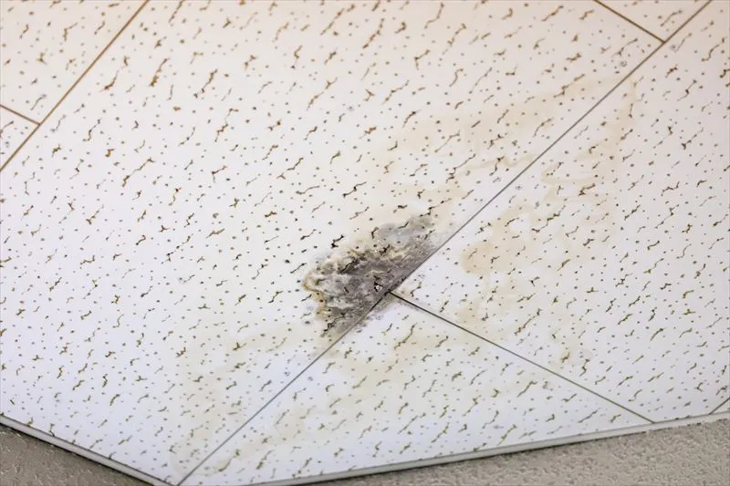 屋根から雨漏りする原因とは